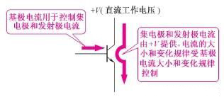 三極管電路符號(hào)